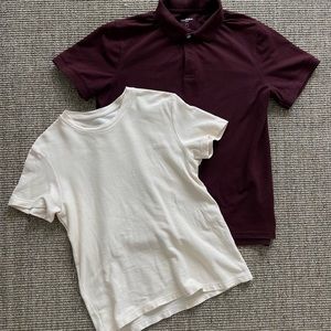 Everlane T-shirt and GoodFellow Polo Bundle